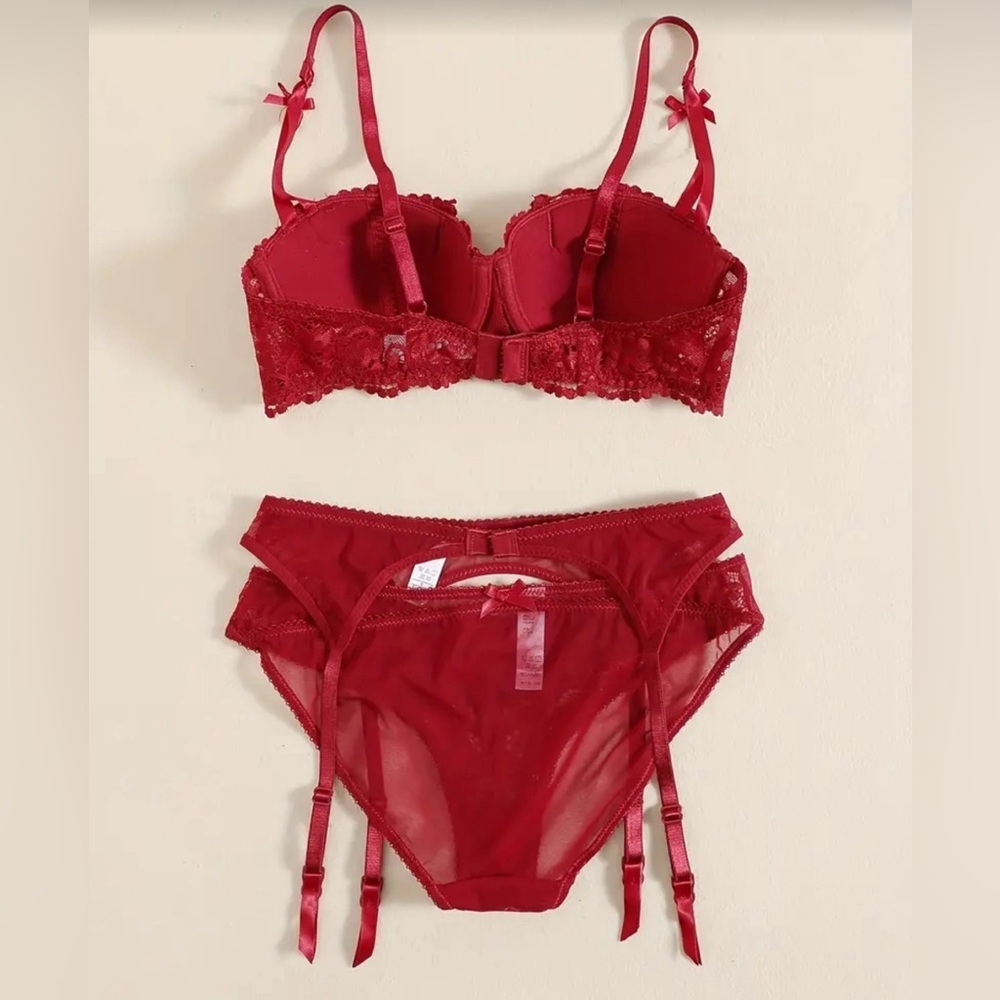 New 3 piece lingerie set, sexy burgundy underwire bra, garter and panty - Picture 4 of 6